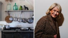 Martha Stewart pot rack