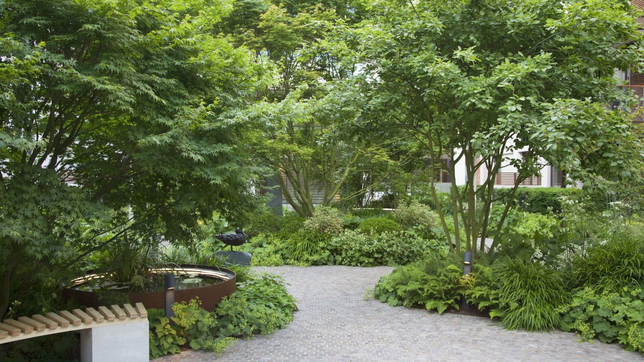A woodland garden with shrubs, trees, and grasses, along with a cobbled patio area, a raised pond, and a curved bench 